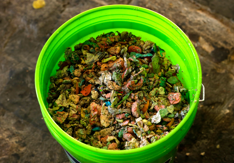 Illustration for article titled Seattle's Famous Gum Wall Is Being Scrubbed Away to Bare Brick